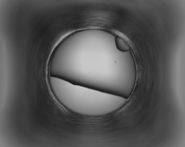 X0000086961423200704161114