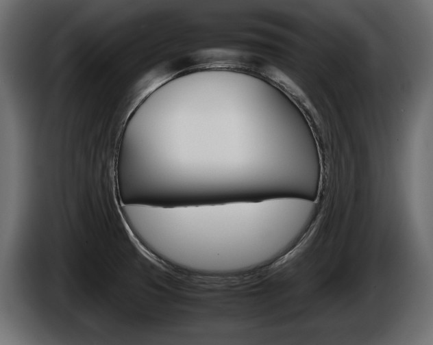X0000086961425200704161114