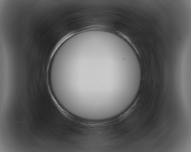 X0000086961426200704161114