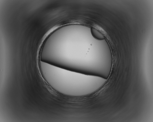 X0000086961427200704161114