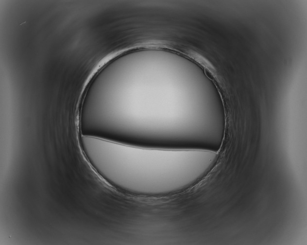 X0000086961428200704161114