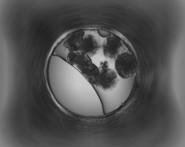 X0000086961429200704161114