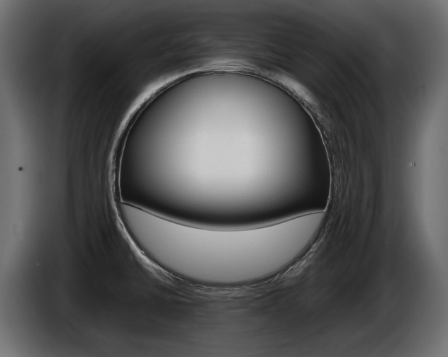 X0000086961430200704161114