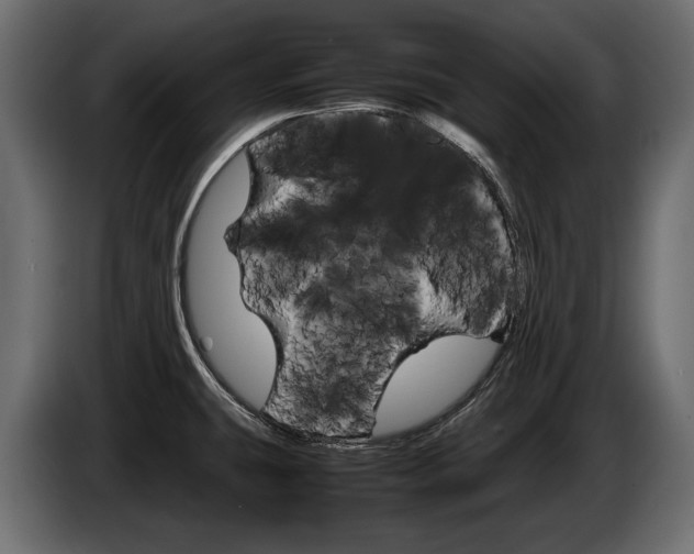 X0000086961431200704161114