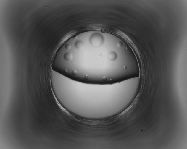 X0000086961433200704161114