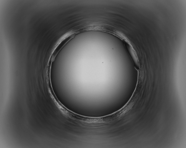 X0000086961434200704161114