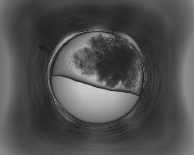 X0000086961435200704161114