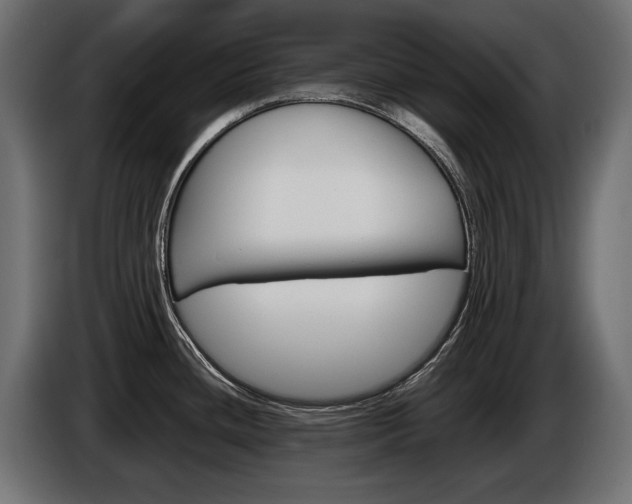 X0000086961436200704161114