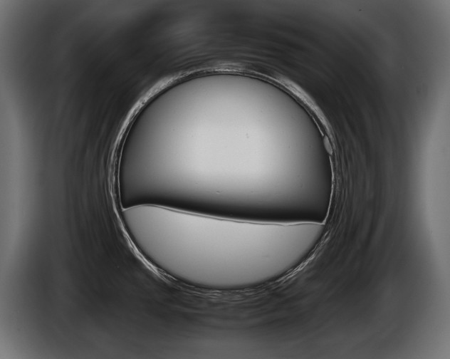 X0000086961437200704161114