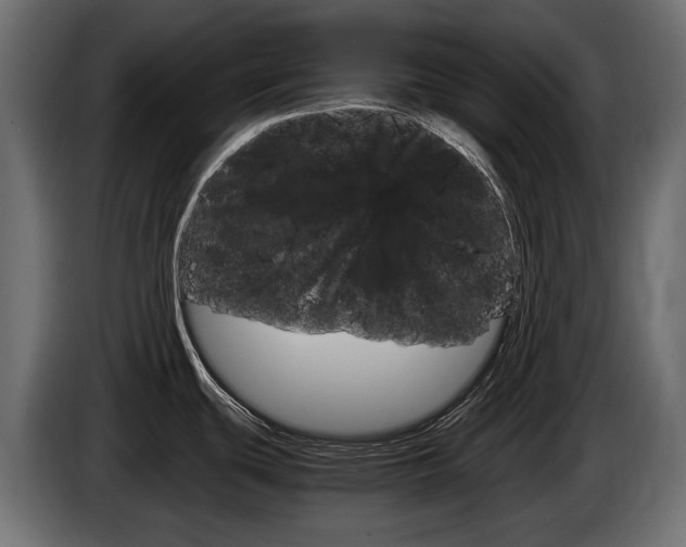 X0000086961439200704161114