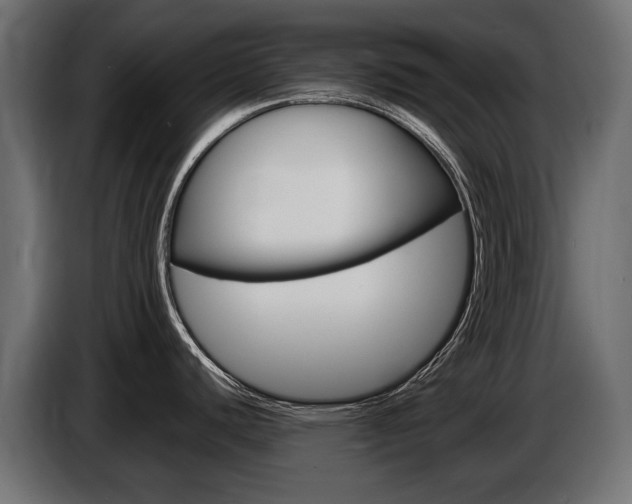 X0000086961440200704161114