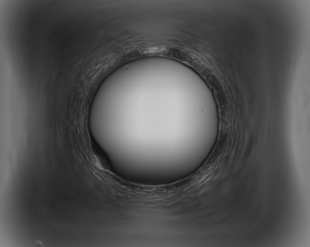 X0000086961441200704161113