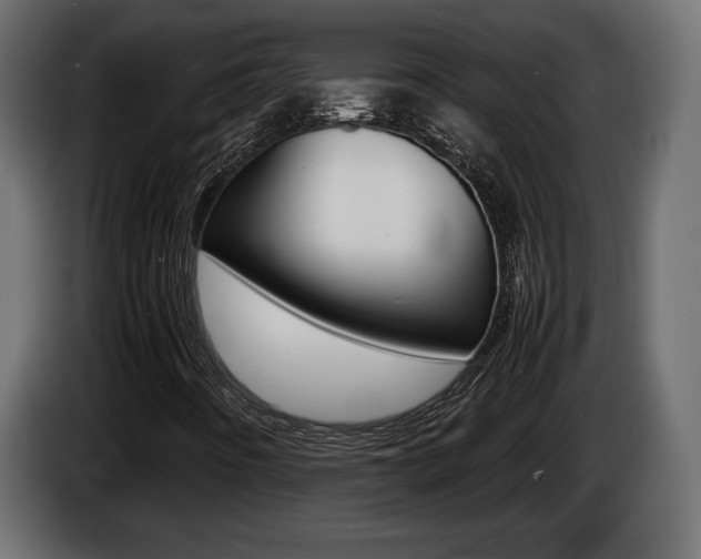 X0000086961442200704161113