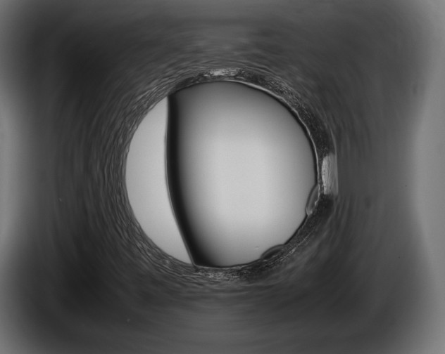 X0000086961443200704161113