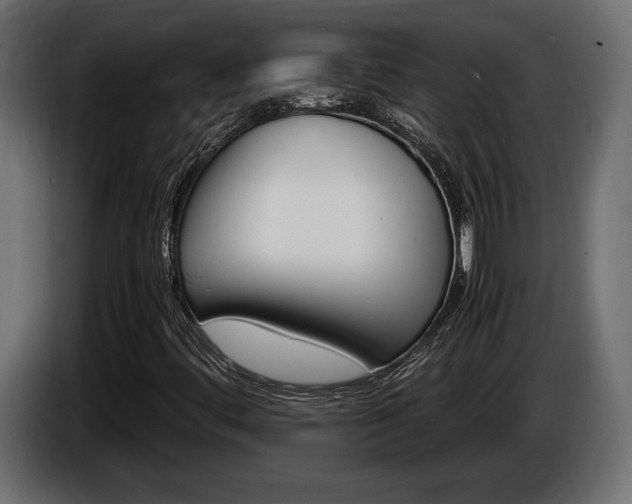 X0000086961444200704161113