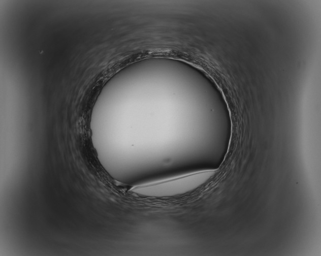 X0000086961445200704161113