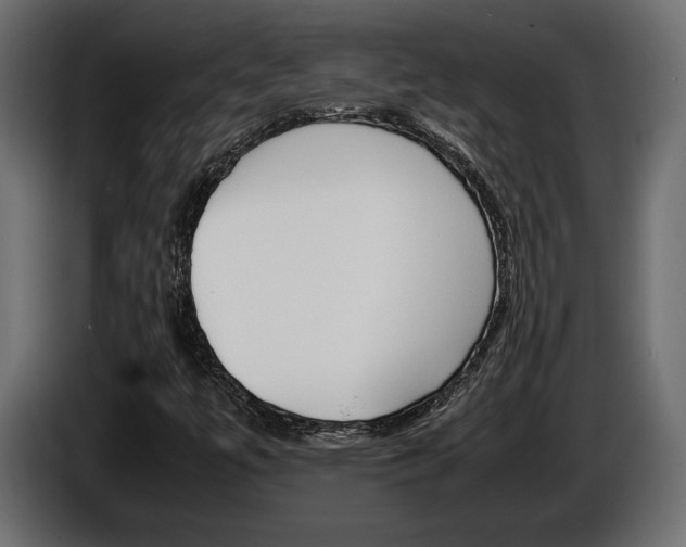 X0000086961447200704161113
