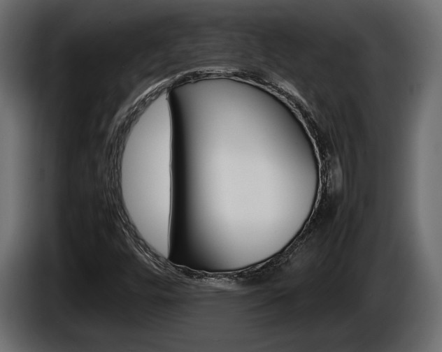 X0000086961448200704161113