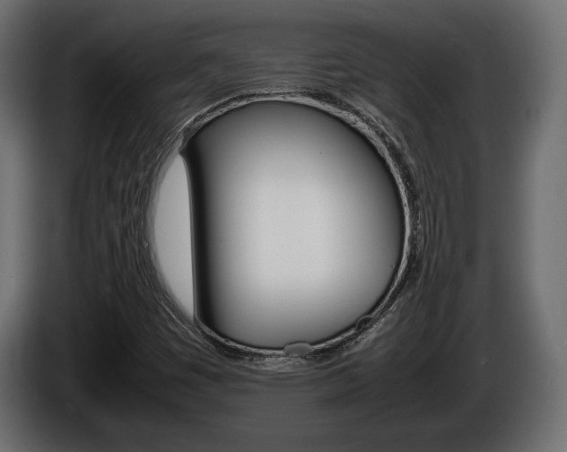 X0000086961449200704161113