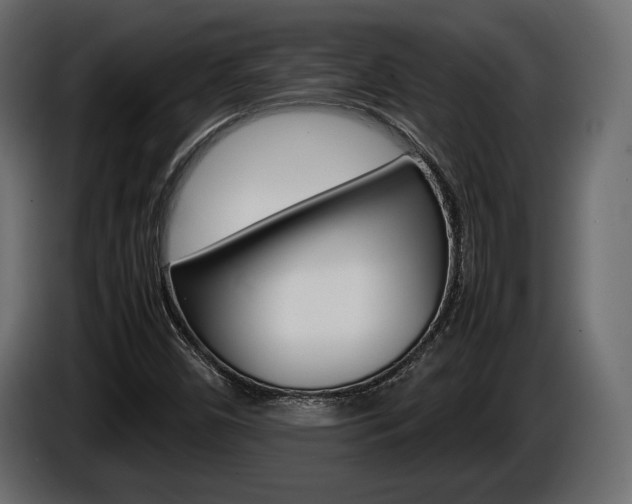 X0000086961450200704161113