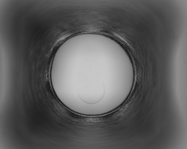 X0000086961451200704161113