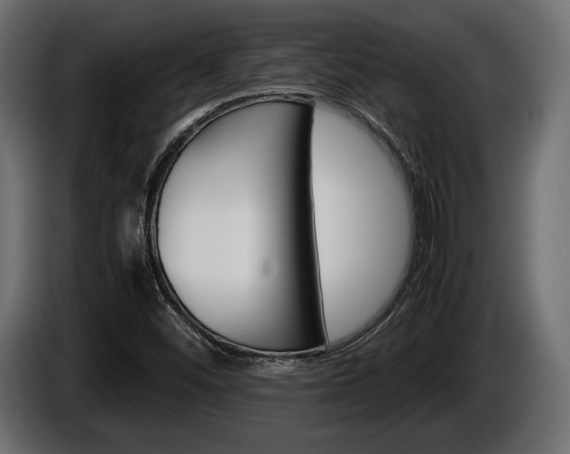 X0000086961452200704161113