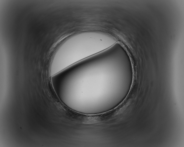 X0000086961453200704161113