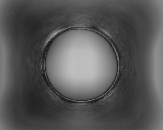 X0000086961455200704161113