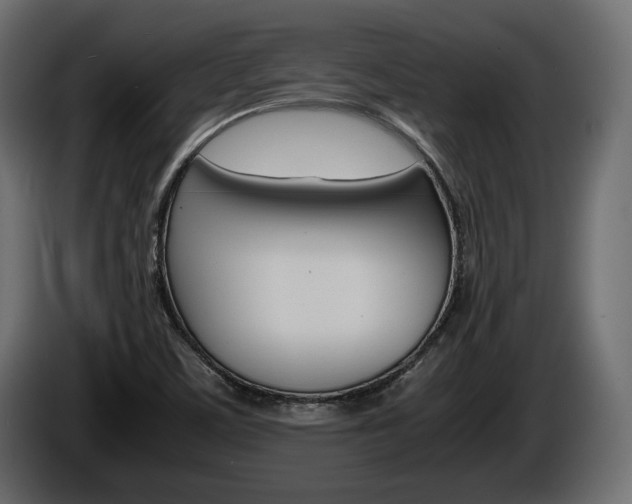 X0000086961459200704161113