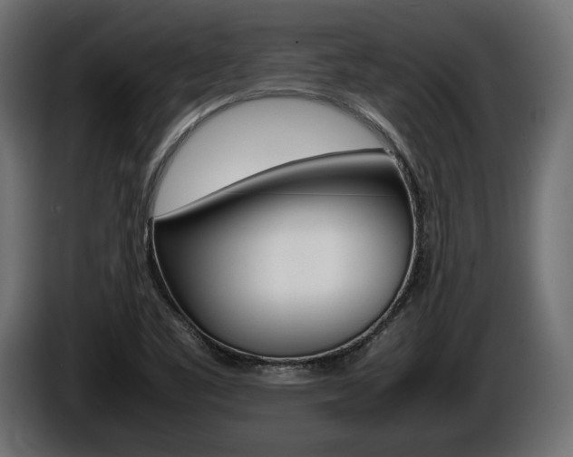 X0000086961461200704161113