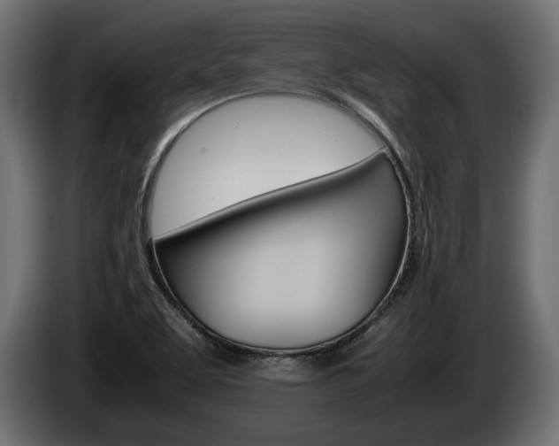 X0000086961463200704161113
