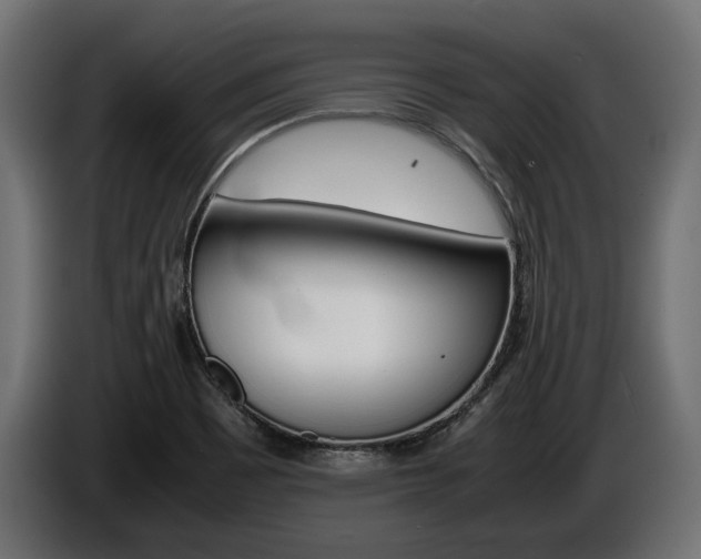 X0000086961465200704161113