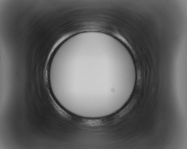 X0000086961466200704161113