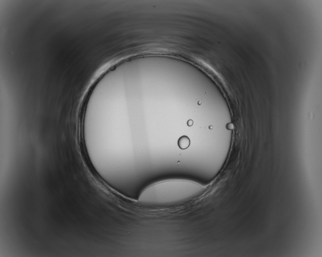 X0000086961467200704161113