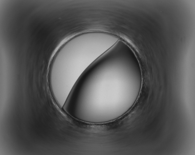 X0000086961469200704161113