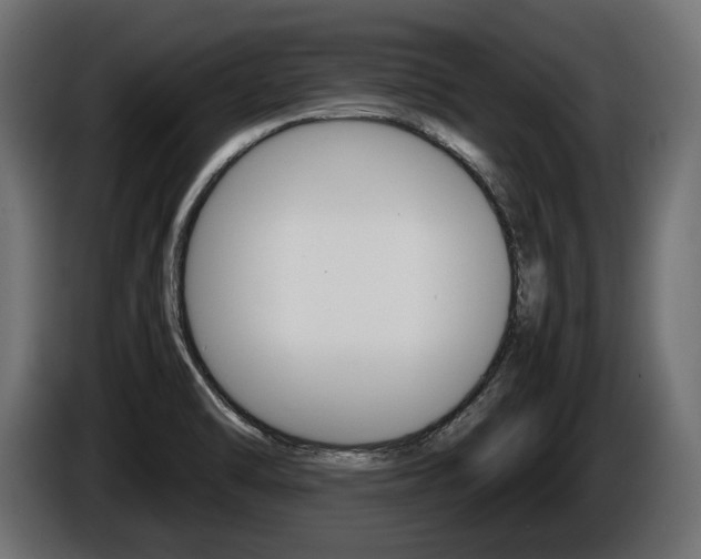 X0000086961470200704161113