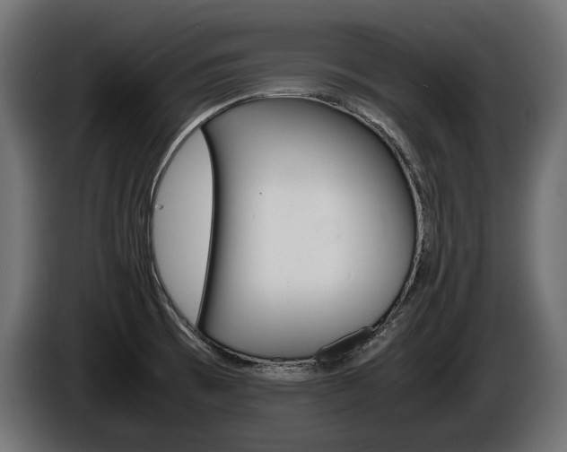 X0000086961473200704161113
