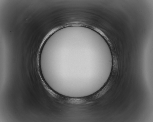 X0000086961474200704161113