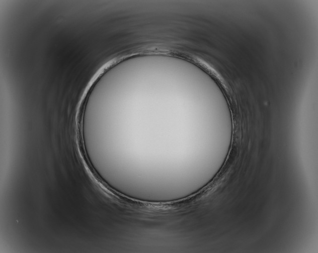 X0000086961475200704161113