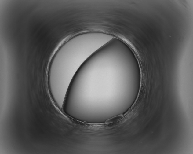 X0000086961477200704161113