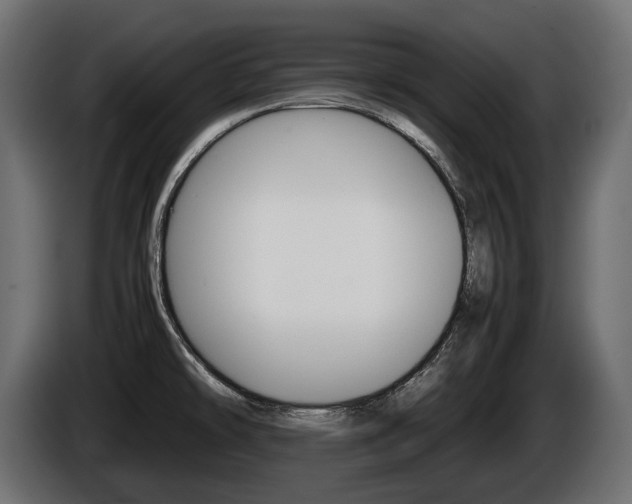 X0000086961478200704161113