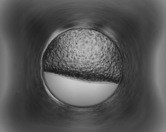 X0000086961479200704161113