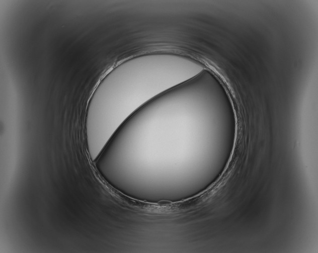 X0000086961481200704161113