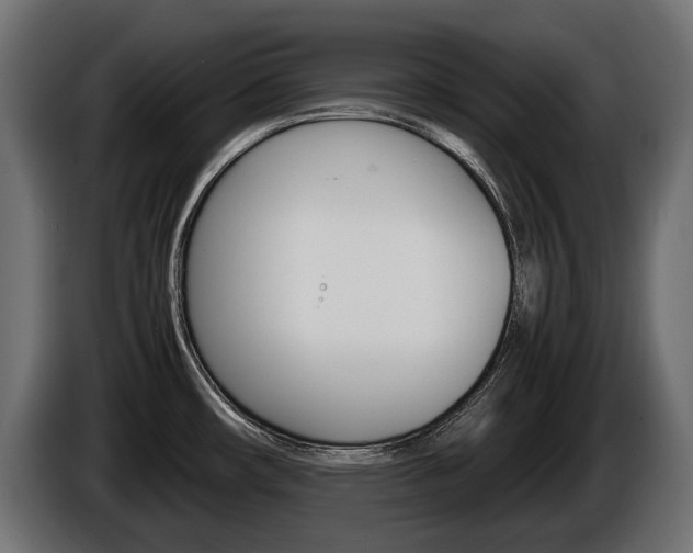 X0000086961482200704161113