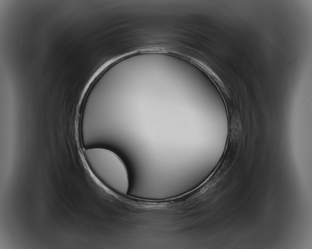 X0000086961484200704161113