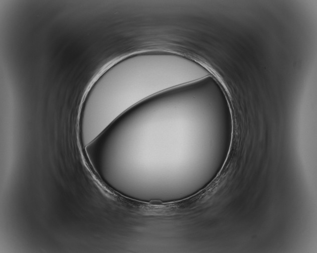 X0000086961485200704161113