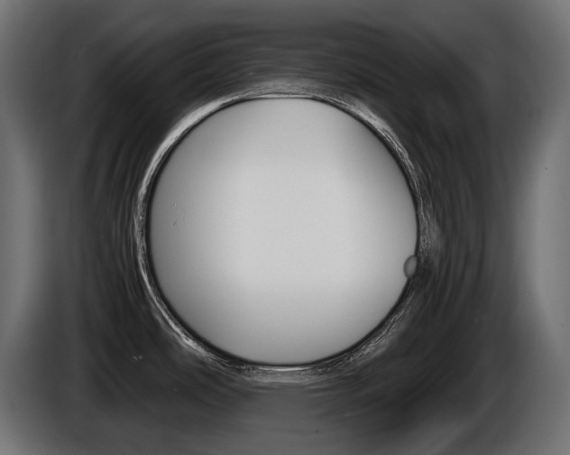 X0000086961486200704161113