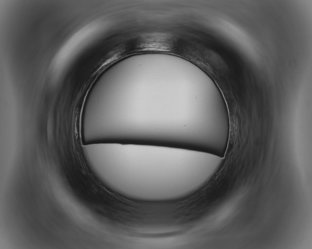 X0000086961487200704161113