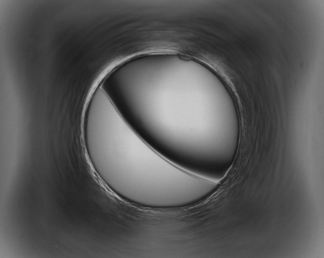 X0000086961488200704161113