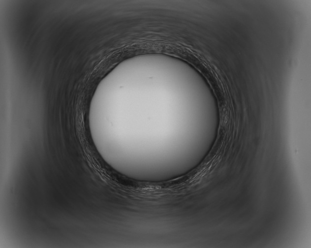 X0000086961489200704161112